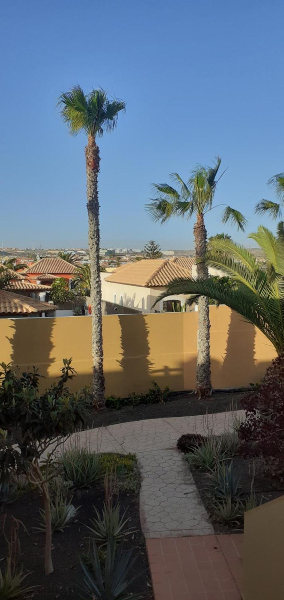 Oasis Waves House Papagayo Apartment Corralejo Exterior foto