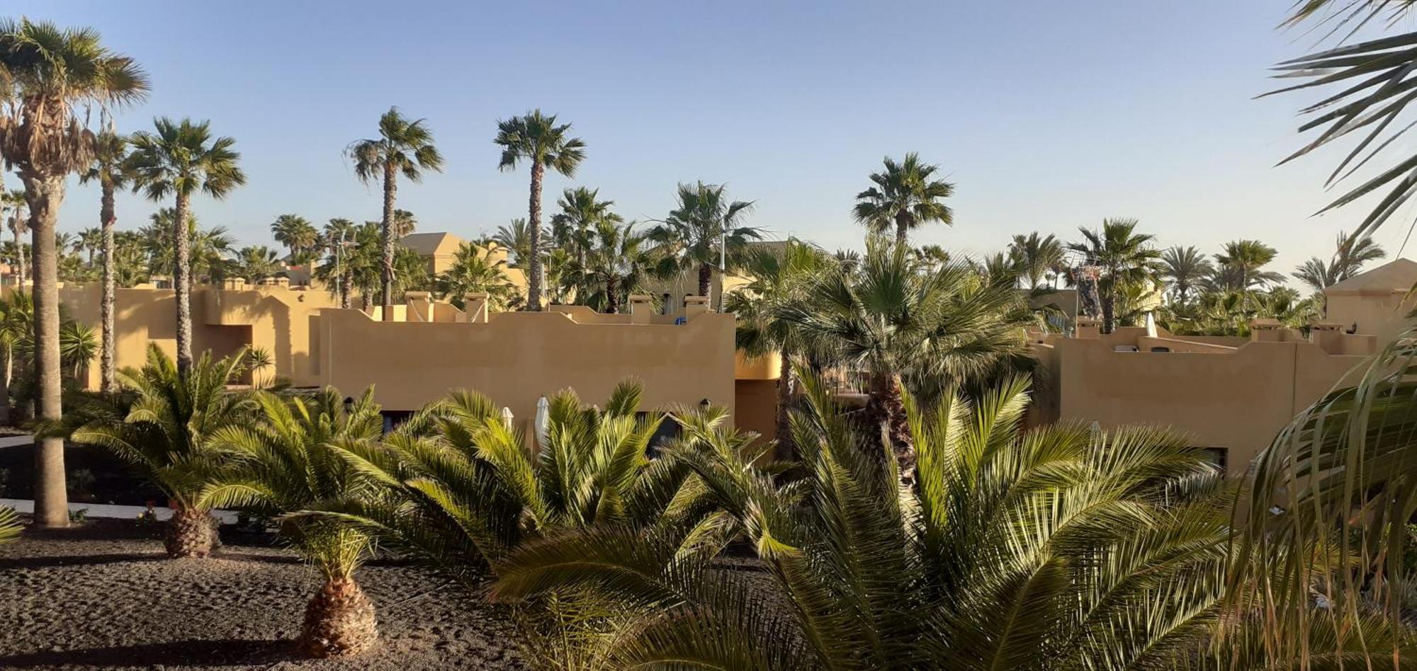 Oasis Waves House Papagayo Apartment Corralejo Exterior foto