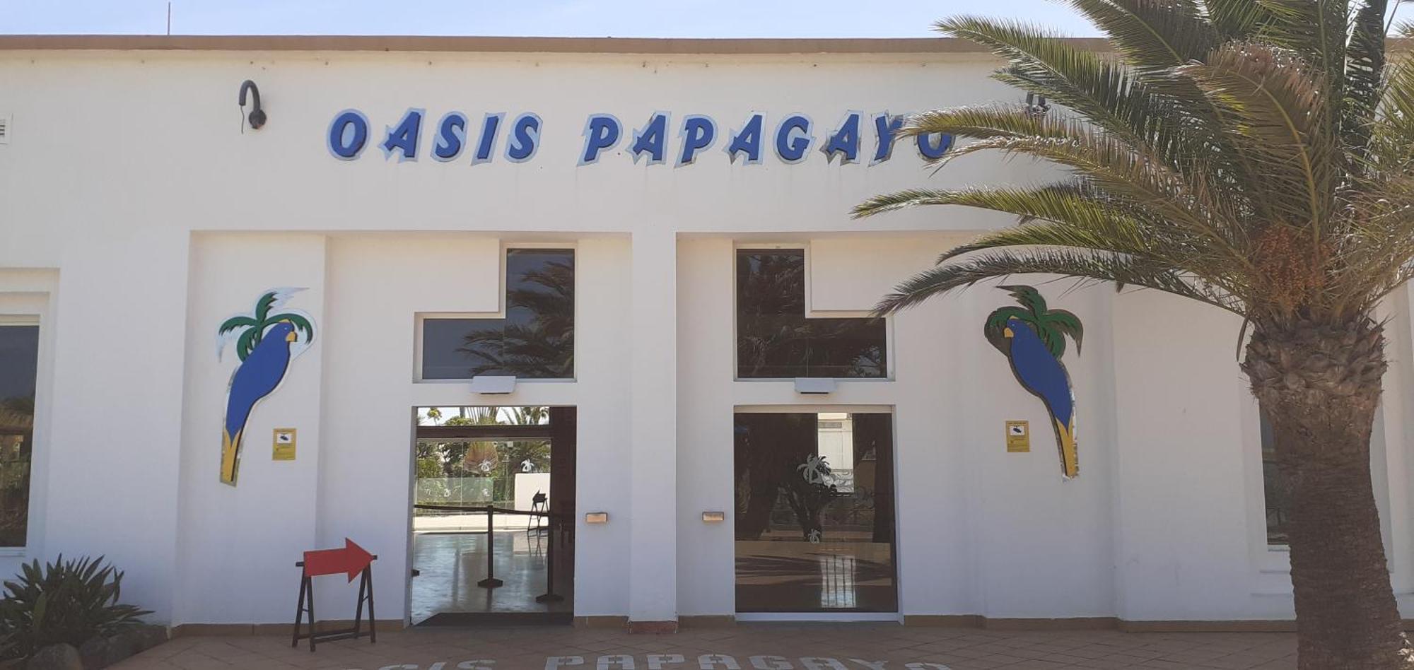 Oasis Waves House Papagayo Apartment Corralejo Exterior foto